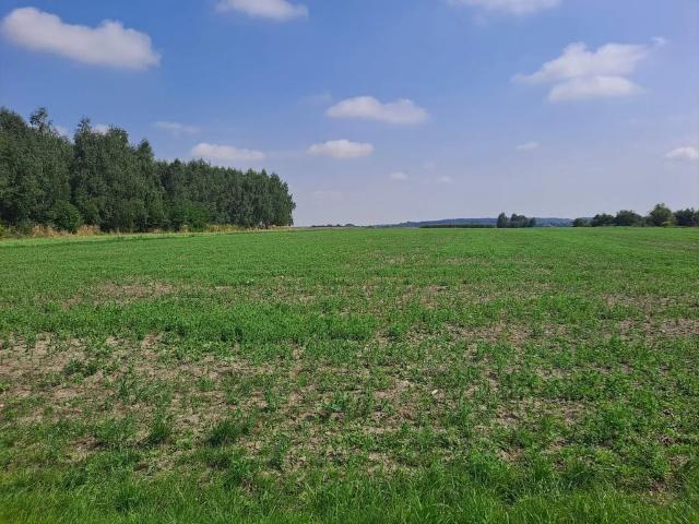 Grunt na sprzedaż w Toszek, Śląskie