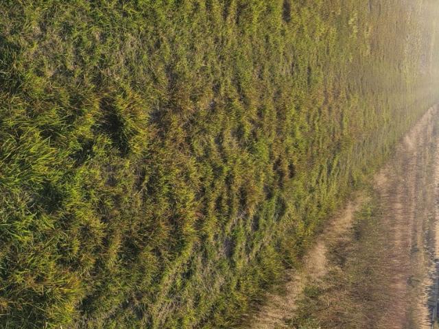 Grunt na sprzedaż w Tarnowskie Góry, Śląskie