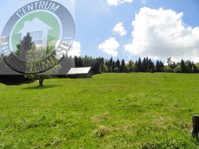 Grunt na sprzedaż w Ochotnica Dolna, Małopolskie