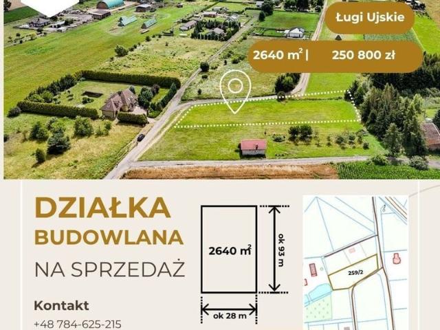 Grunt na sprzedaż w Ługi Ujskie, Wielkopolskie