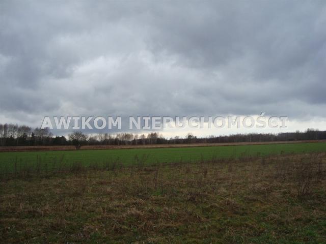 Grunt na sprzedaż w Żelechów, Mazowieckie