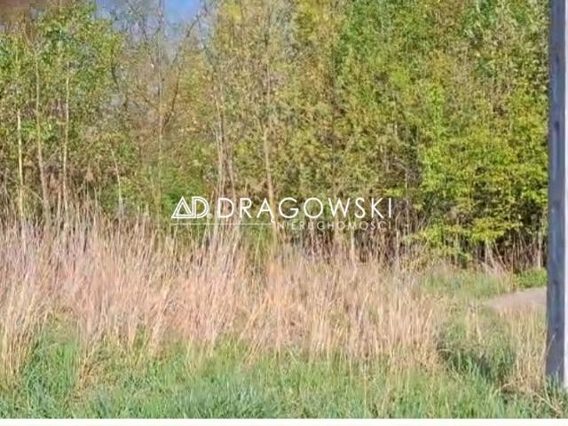 Grunt na sprzedaż w Nowy Felicjanów, Koluszki