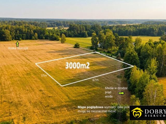 Grunt na sprzedaż w Milejczyce, Podlaskie