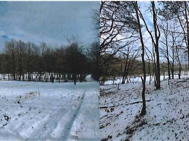 Grunt na sprzedaż w Godów, Śląskie