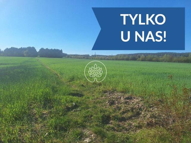 Grunt na sprzedaż w Serock, Mazowieckie