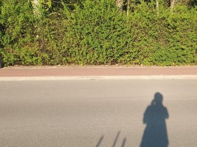 Grunt na sprzedaż w Brody-Parcele, Pomiechówek
