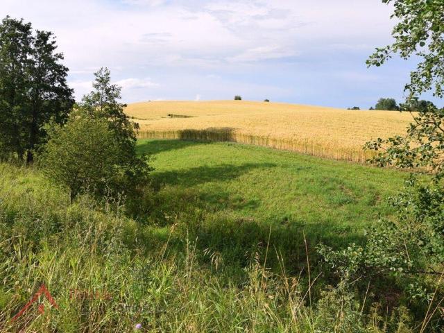 Grunt na sprzedaż w Budry, Warmińsko-mazurskie