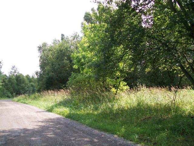 Grunt na sprzedaż w Pod Grodziskiem, Grodzisko
