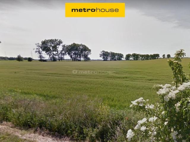 Grunt na sprzedaż w Zielątkowo, Wielkopolskie