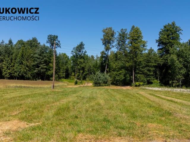 Grunt na sprzedaż w Dankowice, Śląskie