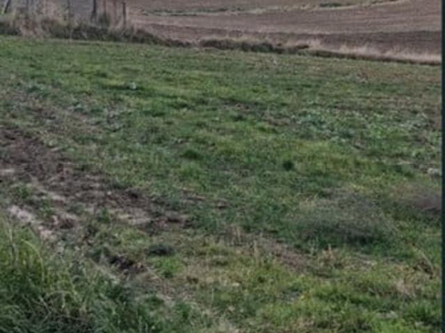 Grunt na sprzedaż w Miechów, Małopolskie