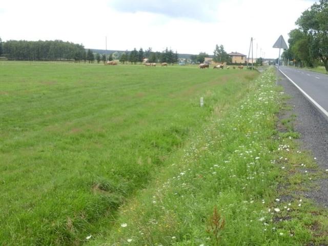 Grunt na sprzedaż w Gogolin, Opolskie