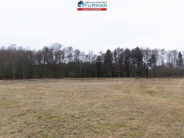 Grunt na sprzedaż w Klempicz, Wielkopolskie