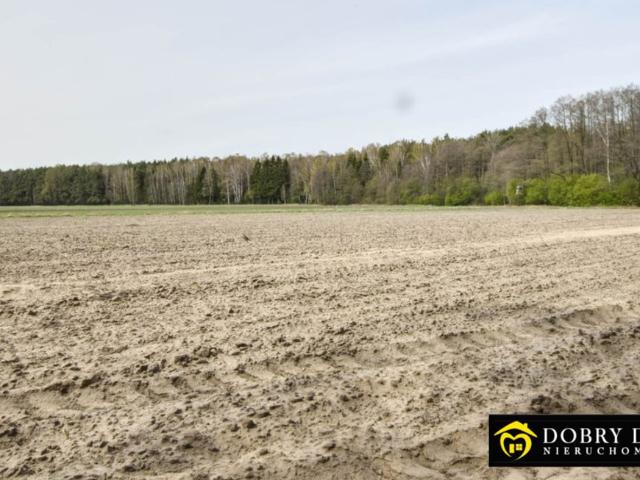 Grunt na sprzedaż w Milejczyce, Podlaskie