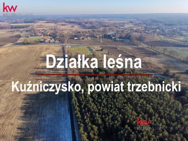 Grunt na sprzedaż w Kuźniczysko, Dolnośląskie