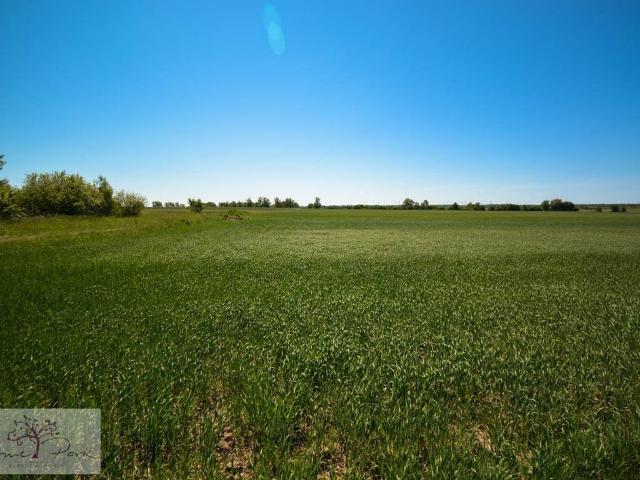 Grunt na sprzedaż w Tuszyn, Łódzkie