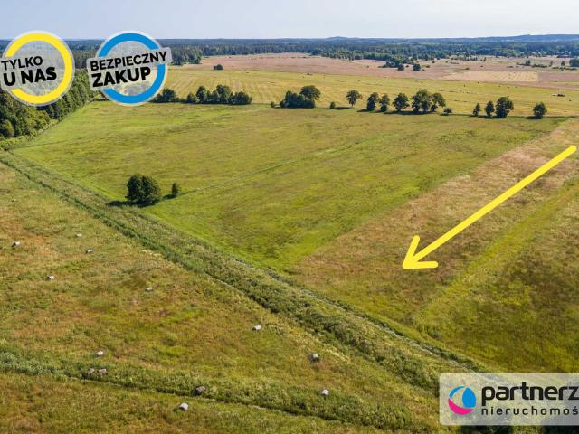 Grunt na sprzedaż w Nowęcin, Pomorskie