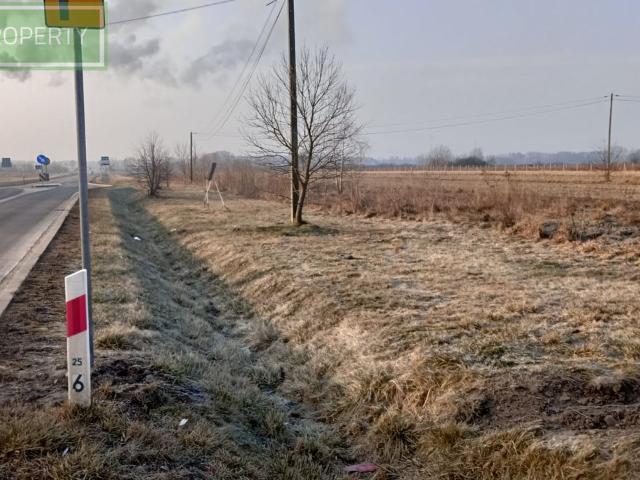 Grunt na sprzedaż w Ujazd, Łódzkie