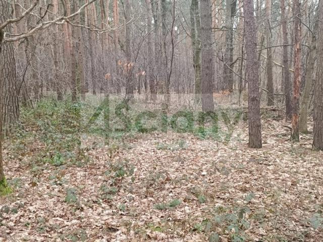 Grunt na sprzedaż w Sękocin-Las, Mazowieckie