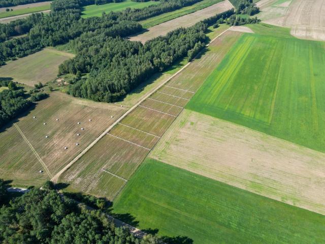 Grunt na sprzedaż w Ostrów Mazowiecka, Mazowieckie