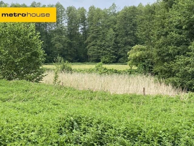 Grunt na sprzedaż w Kujawsko-pomorskie