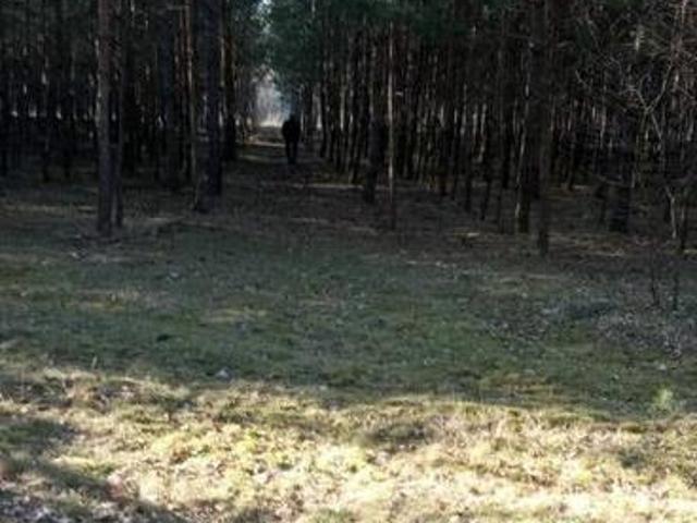 Grunt na sprzedaż w Skierniewice, Łódzkie
