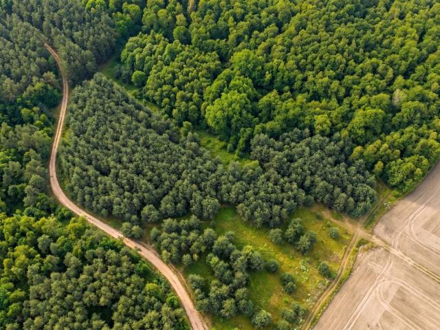 Grunt na sprzedaż w Niemstów, Dolnośląskie