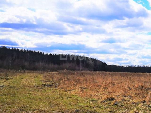 Grunt na sprzedaż w Szprotawa, Lubuskie