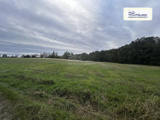 Grunt na sprzedaż w Pszczyna, Śląskie