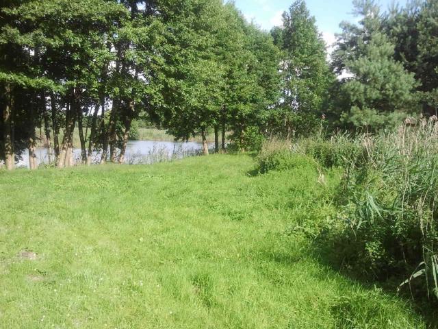 Grunt na sprzedaż w Margonin, Wielkopolskie