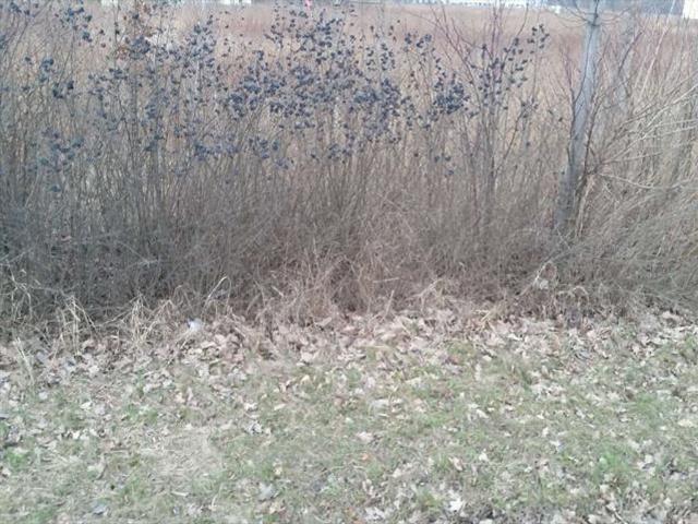 Grunt na sprzedaż w Długołęka, Dolnośląskie