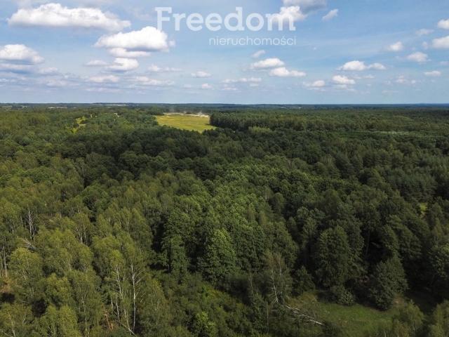 Grunt na sprzedaż w Żołynia, Podkarpackie