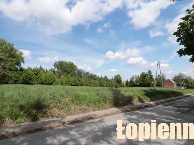 Grunt na sprzedaż w Łopienno, Wielkopolskie