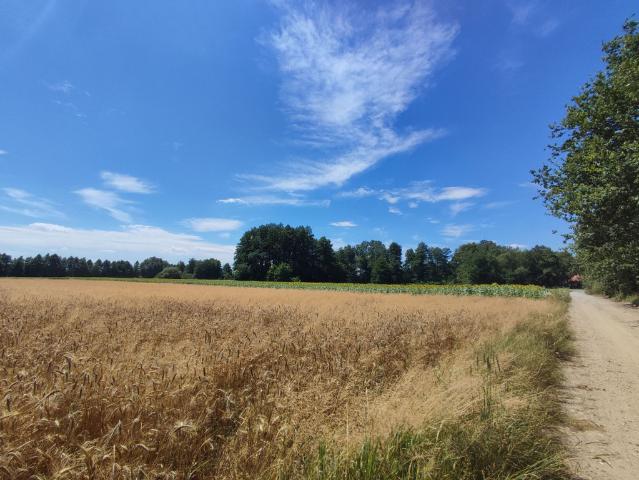 Grunt na sprzedaż w Grędzina, Dolnośląskie