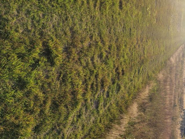 Grunt na sprzedaż w Tarnowskie Góry, Śląskie
