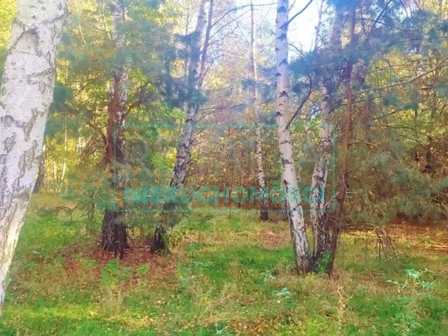 Grunt na sprzedaż w Jaktorów, powiat grodziski