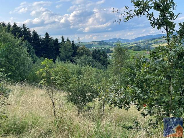 Grunt na sprzedaż w Przyszowa, Małopolskie