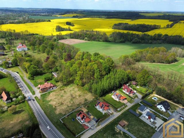 Grunt na sprzedaż w Olszyna, Dolnośląskie
