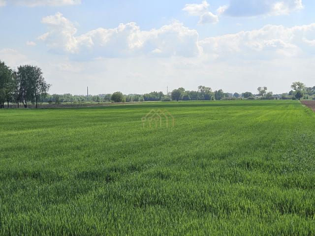 Grunt na sprzedaż w Kępa Oborska, Mazowieckie