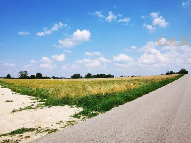 Grunt na sprzedaż w Skrzelczyce, Świętokrzyskie