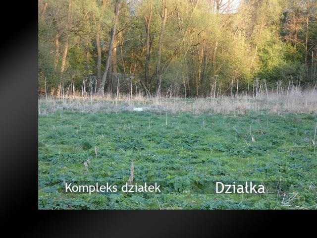 Grunt na sprzedaż w Dział, Pietrzykowice