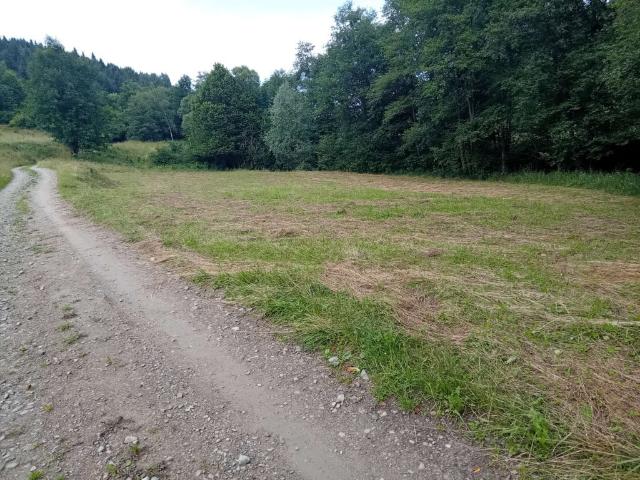 Grunt na sprzedaż w Piergiesi, Zawoja
