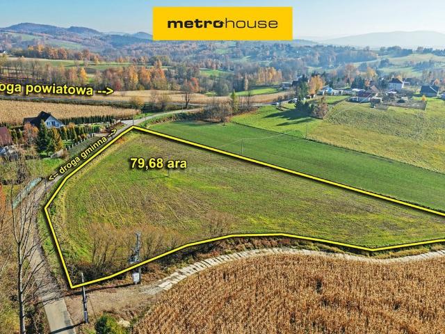 Grunt na sprzedaż w Witanowice, Małopolskie