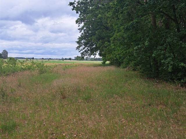 Grunt na sprzedaż w Sokołowo, Wielkopolskie