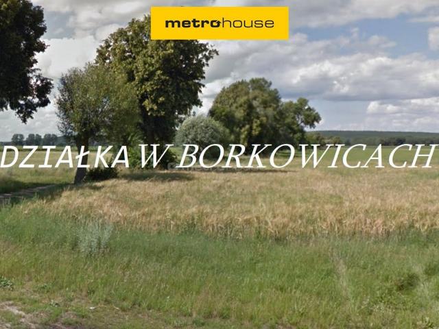 Grunt na sprzedaż w Borkowice, Wielkopolskie