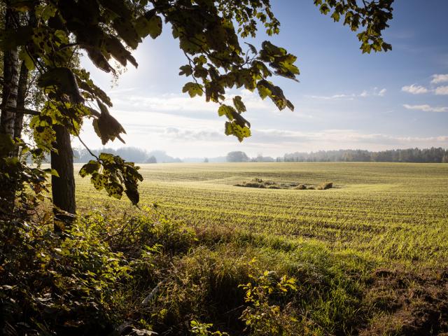 Grunt na sprzedaż w Kujawsko-pomorskie