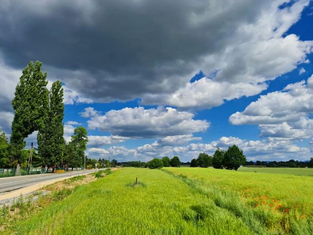 Grunt na sprzedaż w Pszczyna, Śląskie