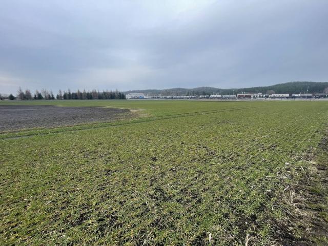 Grunt na sprzedaż w Pomorskie