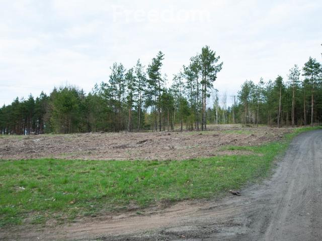 Grunt na sprzedaż w Chodzież, Wielkopolskie