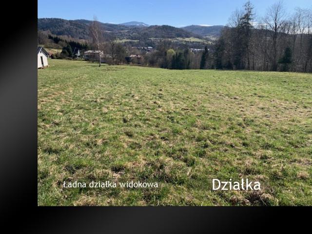 Grunt na sprzedaż w Świnna, Śląskie
